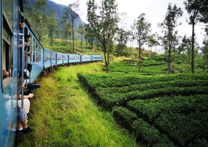 Nuwara eliya to kandy train